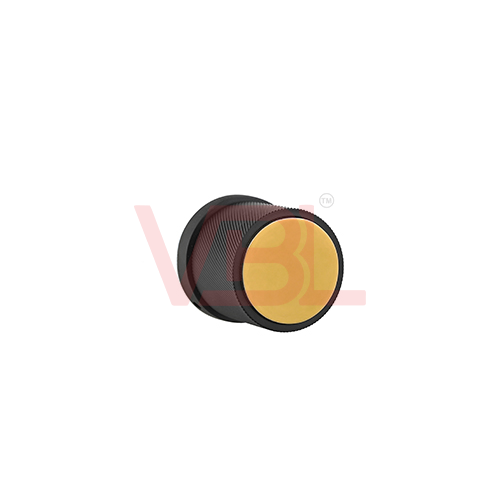 ZBM + PVD Gold