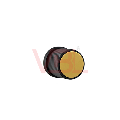 ZBM + PVD Gold